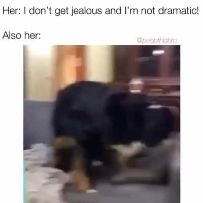 Ok ok that’s enough!