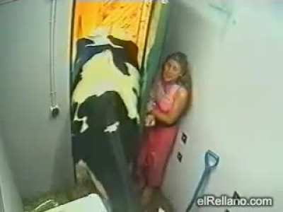 Maybe maybe maybe