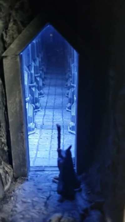 Dwarrowdelf Booknook