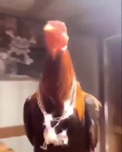 my cock icy af
