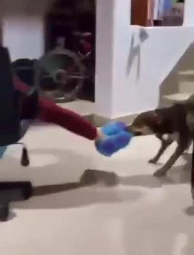 Its play time