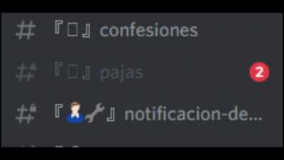 Pajas 2