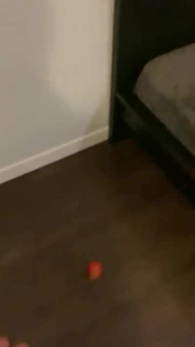 Science experiment: Is gravity even real? Yes