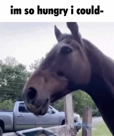 how hungry...