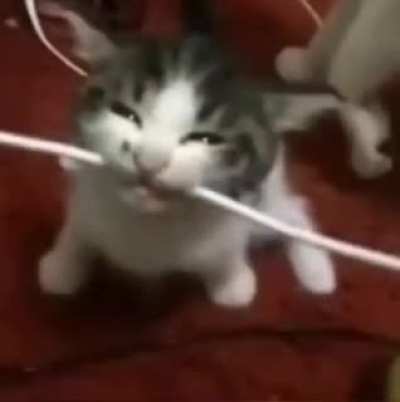 ShitpostESP
