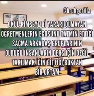 Olm çok iyi lan