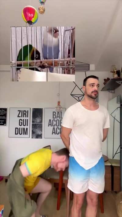 Mating dance 