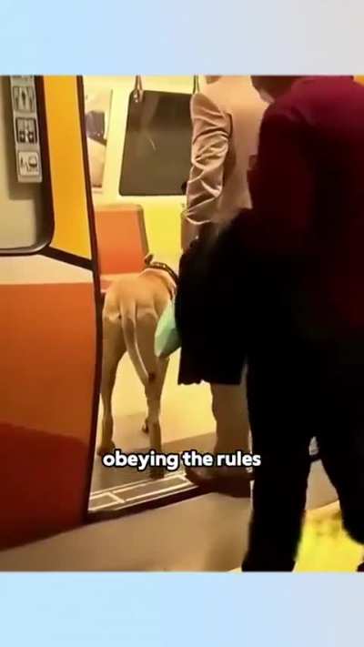 Boji