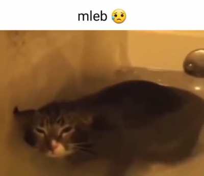 Mleb 😢