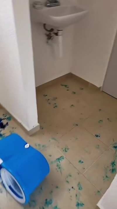 It wasn't me...