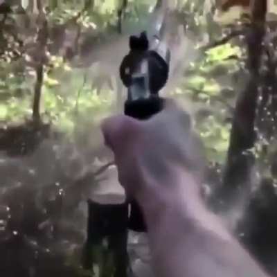 blursed_gun