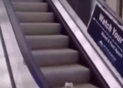 I wonder what's on the escalator