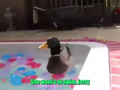 Jerry Nooooo!