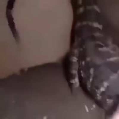 *Emoji descrbiendo todo lo que pasa en este conjunto de imágenes en movimiento de duración de 8 minutos*