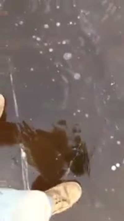 Maybe Maybe Maybe