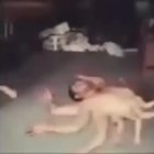 Cursed crawl space