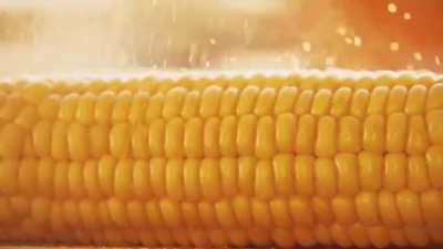 corn