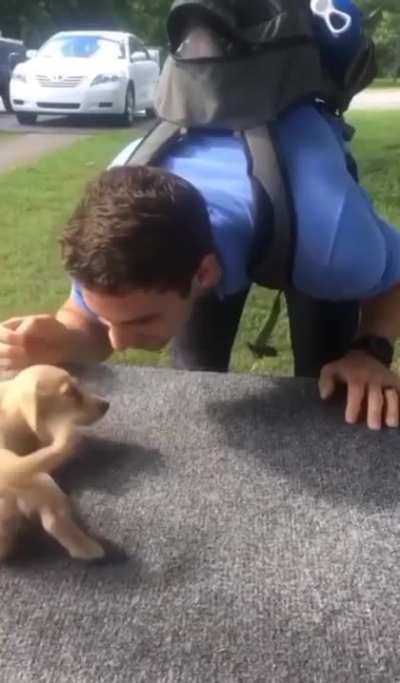 A pupper adorably welcoming home their best friend