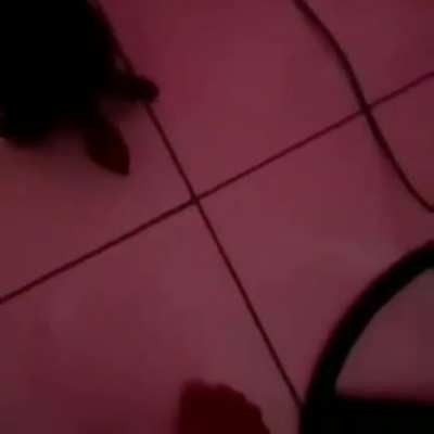 EAE SEU FILHA DA PUTA
