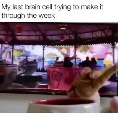 laat brain cell is the most durable brain cell