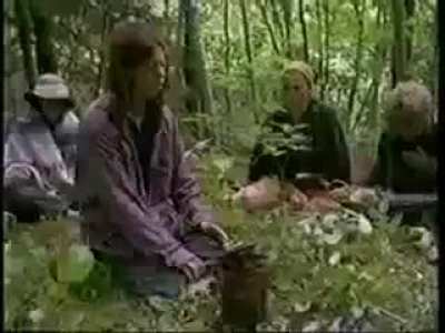 Save the forest