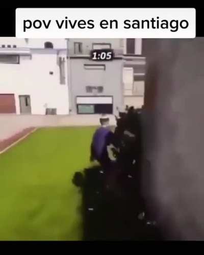 xd