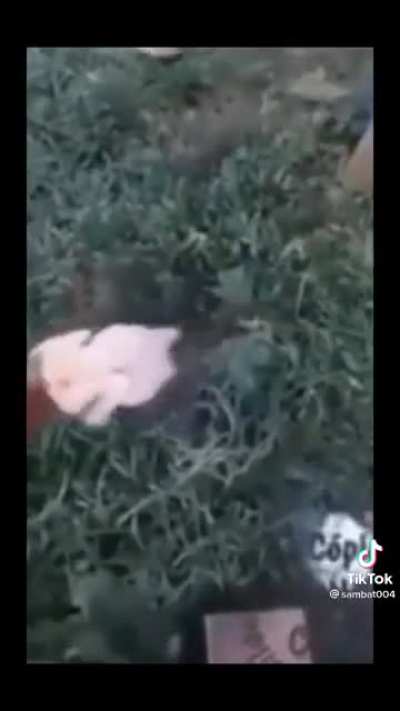 Pa upvote para maka post ako ng mga nakakatawang video