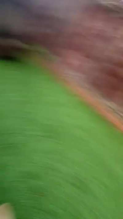 Zoom zoom zoom