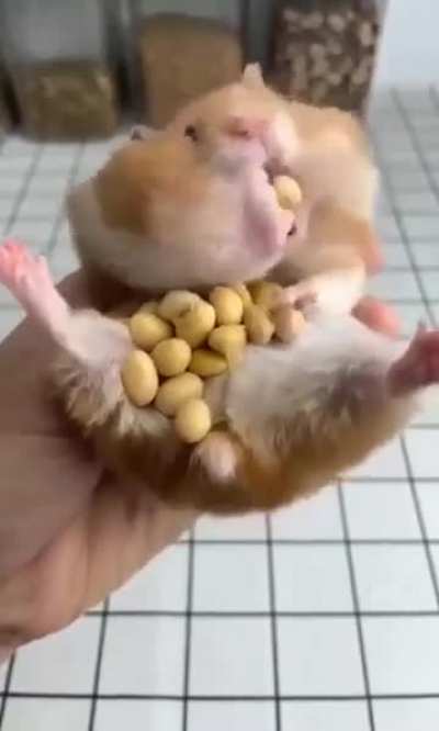 Give it up, Wunky