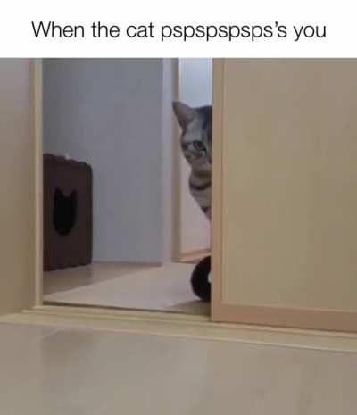 come here