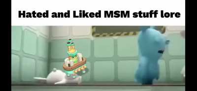 Hated and Liked MSM stuff lore
