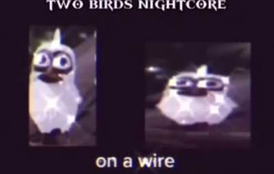 Bird song