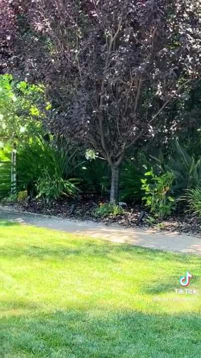 She sent buddy to the bushes ð¤£ð¤£ð¤£ð¤£ð¤£ð¤£ð¤£ð¤£