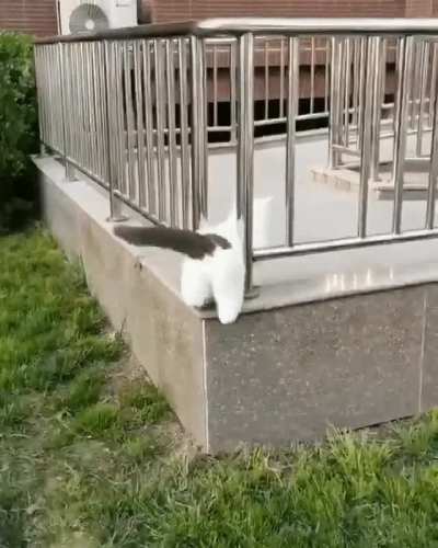 Тщетность