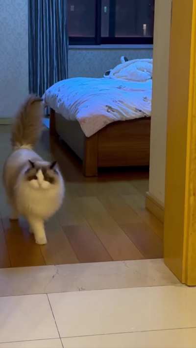 Startled by thunder
