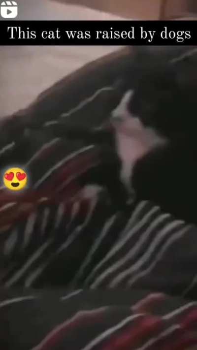 Thought this should be here