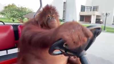 Joe in 2022: Evolution is evolutioning!