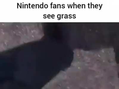 shitposting - Video #9349