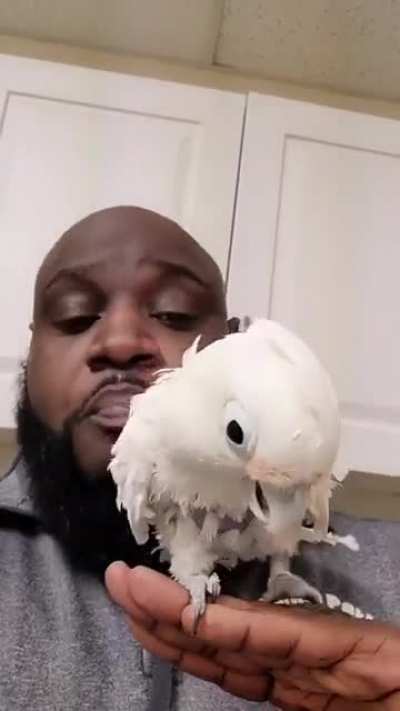 Guy beatboxes, bird dances