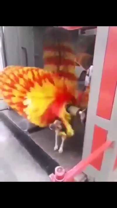 Maybe Maybe Maybe