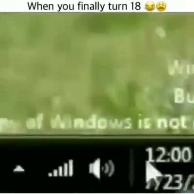 *laughs in what am I doing with my life*