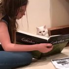 He is trying