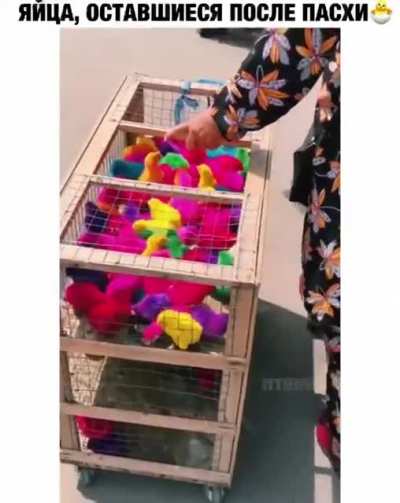Я хз, что у неё с голос<wbr>ом, но цыплята прико<wbr>льно смотр<wbr>ятся