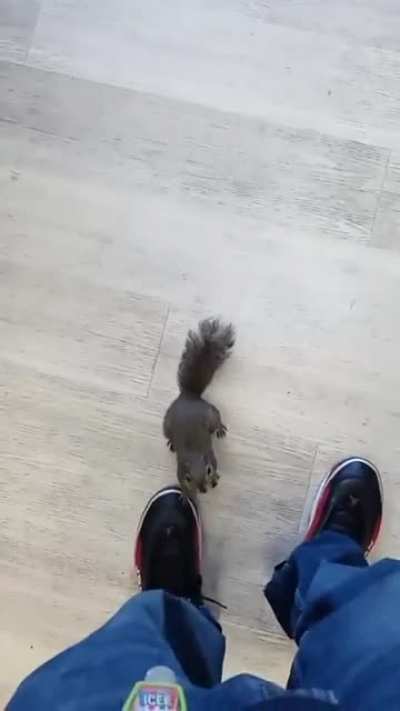 Roger in the store