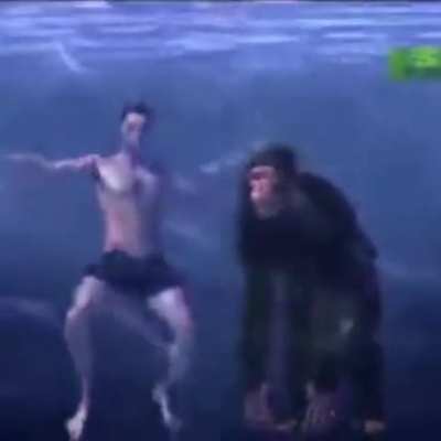in water, chimps will drown