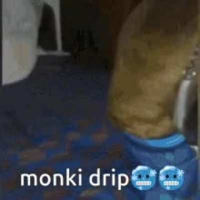 there is no meme only monky