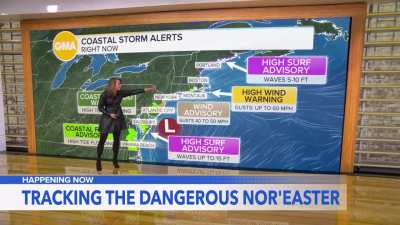 Ginger Zee