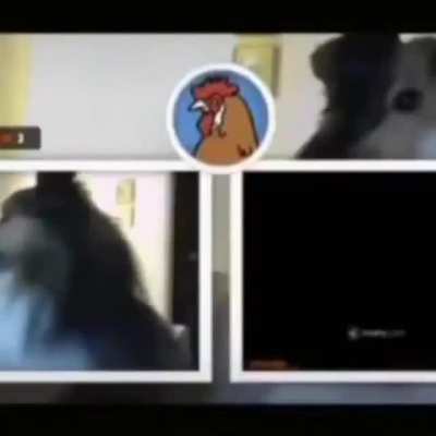 Smiledog used to scare me so bad when I was younger