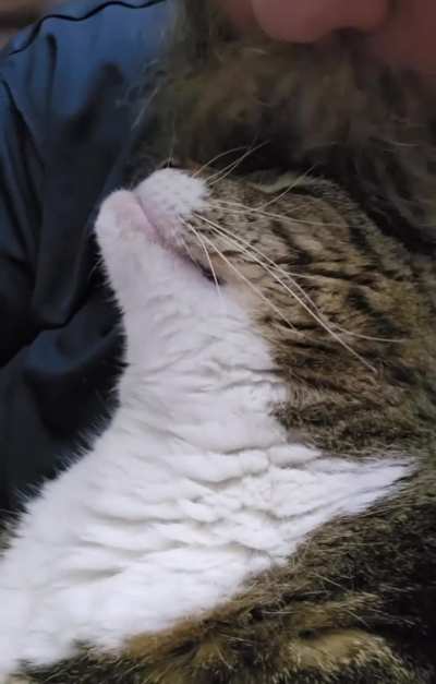 Ollies snuggles are the best