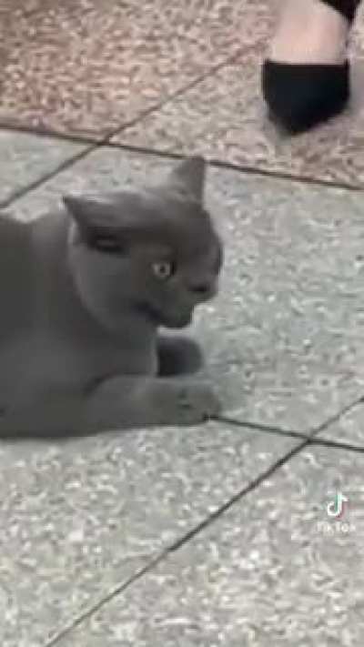 what was he doing down there?